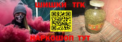 тгк Кингисепп