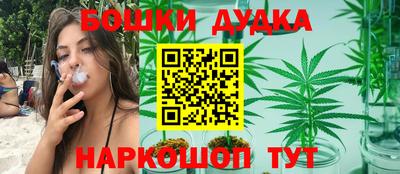 тгк Кингисепп