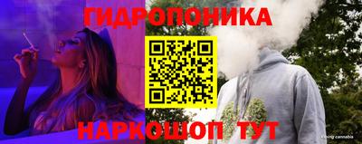 индика Кимры