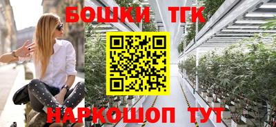 тгк Кингисепп