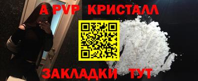 тгк Кингисепп