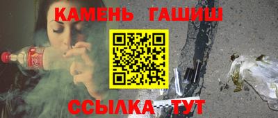 тгк Кингисепп