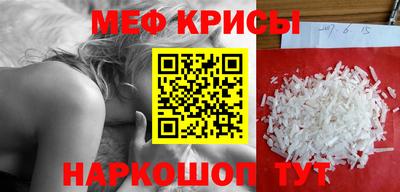 тгк Кингисепп