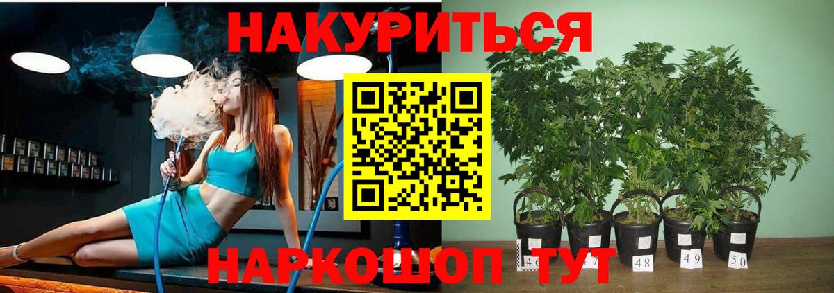Канабис ГИДРОПОН  Бошки Шишки Ganja  Вход с VPN  Каннабис конопля  Ставрополь 